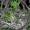 Worm "Gloomlord" (CD)