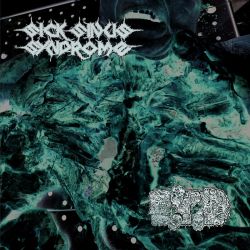 Sick Sinus Syndrome/Eat The Decay "Split" (LP)