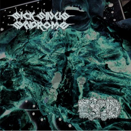 Sick Sinus Syndrome/Eat The Decay "Split" (LP)