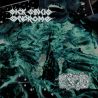 Sick Sinus Syndrome/Eat The Decay "Split" (LP)