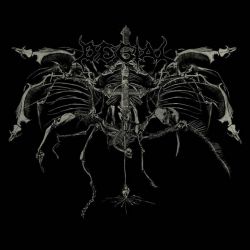 Degial "Death's Striking Wings" (LP)