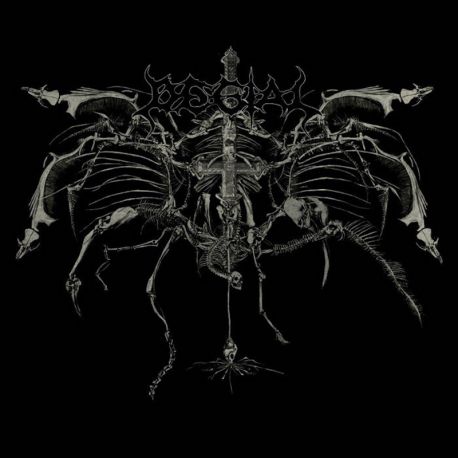 Degial "Death's Striking Wings" (LP)