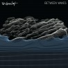 The Album Leaf "Between Waves" (DigipakCD)