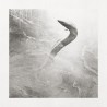 Absenta "Eel" (CD)